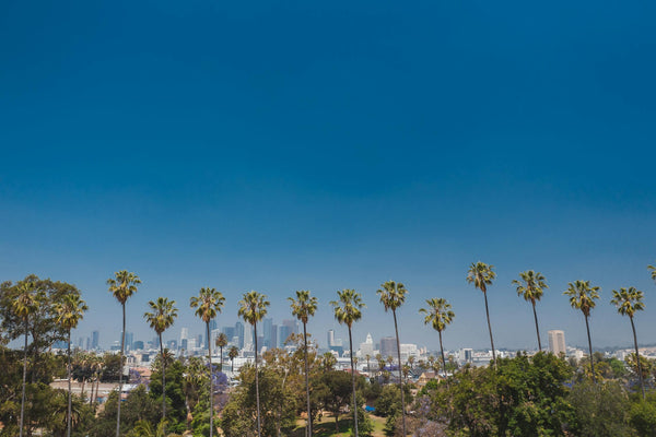 Pop-Up THE ODDER SIDE w Los Angeles!